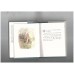 The Tale of Peter Rabbit