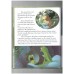 Disney : The princess and the frog (read along story)