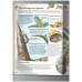 Mysteries and marvels of plant life