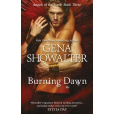Burning Dawn (Angels of the Dark #3)