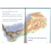 The Three little pigs (First readers)
