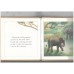 Elephant Bathes (Growing Up) 