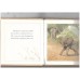 Elephant Bathes (Growing Up) 