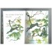 Monkeys (Usborne First Reading)