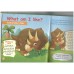 Herbivorous dinosaurs - Triceratops