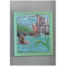 My little mermaid adventure