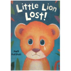 Little Lion Lost