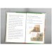Three Little Pigs (Read it Yourself - Level 2)