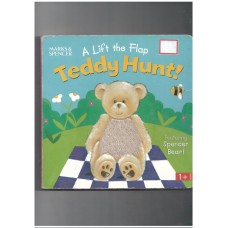 A lift the flap : Teddy hunt