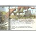 Rumbles the Roller (Tales from Henry's Garden)