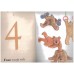 My counting book My counting book
