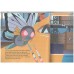 Pokemon adventure series 1