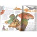 I Wonder Why Triceratops Had Horns 