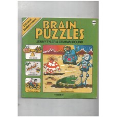 Brain puzzles