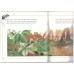 Animal life stories - The mouse