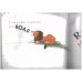 Silly Suzy Goose (English, Paperback, Petr Horacek) Silly Suzy Goose (English, Paperback, Petr Horacek)