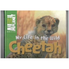 My life in the wild - Cheetah