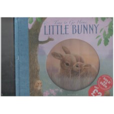 Time to Go Home Little Bunny