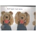 Teddy Sounds Head Shoulders Knees