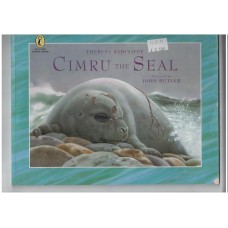 Cimru the Seal