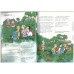 The Incredible Dinosaur Expedition (Usborne Puzzle Adventures)