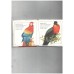 Colourful Animals (Kenneth Lilly's Animal Ark)