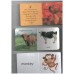 Animals Board Books Animals Board Books