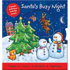 Santa's Busy Night