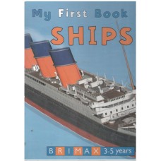 Ships (Large Size)