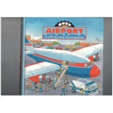 Busy Day at the Airport  (Lift the flap book)