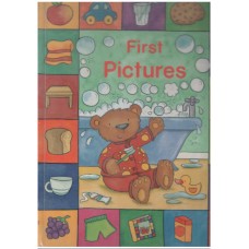First pictures
