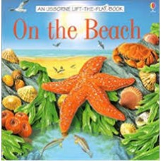 On the Beach (Lift the flap book)