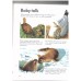 All about Baby Animals