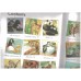 All about Baby Animals