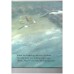 Ebb And Flo And The Greedy Gulls (Orchard picturebooks)