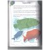 Bumper Sticker Book of animals