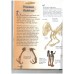 The wonderful world of knowledge dinosaurs The wonderful world of knowledge dinosaurs