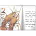 Story Chest: Stage 1 - Large Read-Together Books: Set 1 - Grandpa Grandpa 