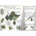 Trees (Usborne First Nature)