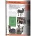 First Fun: Animal Encyclopedia