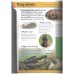 First Fun: Animal Encyclopedia