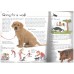 Dogs and Puppies (Usborne First Pets Series)