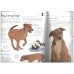 Dogs and Puppies (Usborne First Pets Series)