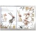 Emily Gravett's Little Book Day Parade