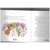 Cinderella - sleepy time stories