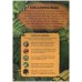 Jungle Explorer