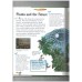 Disney The Wonderful World Of Knowledge Encyclopaedia No.15 Plants are amazing