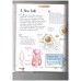 The wonderful world of knowledge: The human body