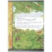 Jungle Tales Treasury 