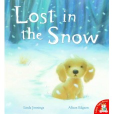 Lost in the Snow